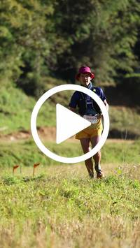 BIB:  <button type="button" onclick="openModal(26565553)" class="btn btn-primary btn-sm float-right" data-toggle="modal" data-target=".modal-high-quality">
                <i class="fa fa-download"></i> Download
                </button>